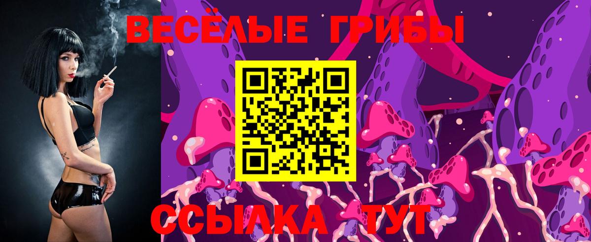 Горно-Алтайск  Псилоцибиновые грибы Magic Shrooms  Галлюциногенные грибы Psilocybe  Вход с VPN 