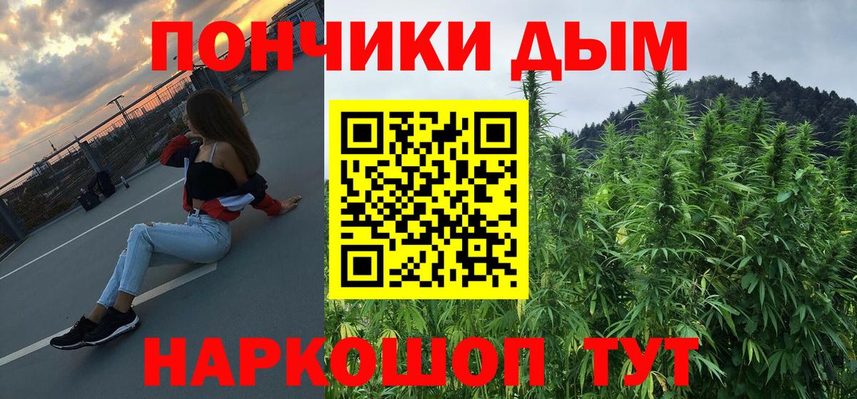 Каннабис сатива Горно-Алтайск